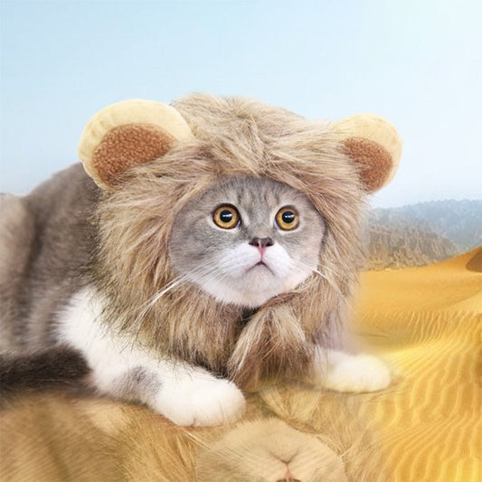 Funny Pet Clothes Cute Cat Wig Lion Mane Costume Cosplay Cat Dog Cap Hat Fancy Dress Clothes Wig with Ears Party Pet Supplies