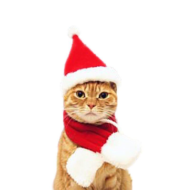Christmas Hat and Scarf Set For Cat Dog Puppy Christmas Clothes Costumes Gift Xmas Santa Red Pet Costume Winter 2021 New Year