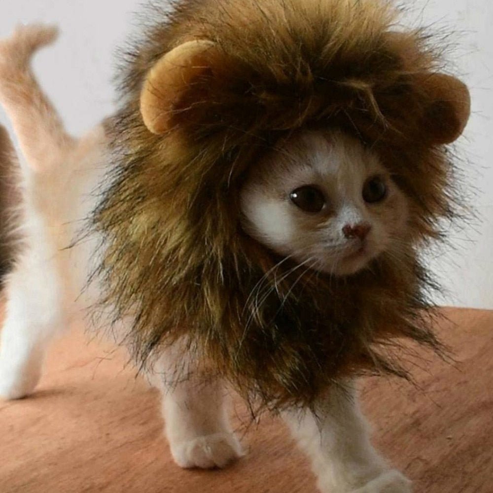 Cat Clothes Lion Wig Pet Dog Christmas Costumes  Cosplay Halloween Suit Catrina  Chats Mascots Winter Dress Dog Fancy Dress Hat