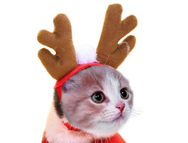 Christmas Hat Halloween Pet Costume For Cat Dog Puppy Costumes Scarf Gift New Year Santa Winter Cosplay Halloween Dog Cat Supply